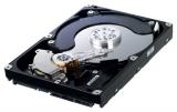 Seagate ST31500541AS