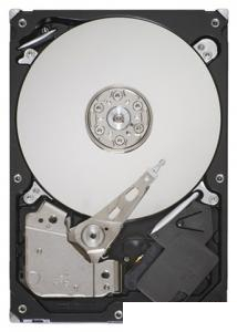 Seagate ST31000528AS