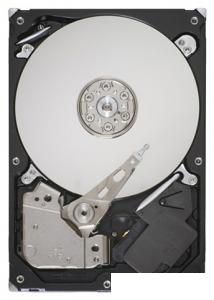 Seagate ST3320418AS