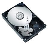 Seagate ST3640323AS