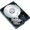 Seagate ST3250820AS