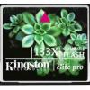 Kingston CF/2GB-S2