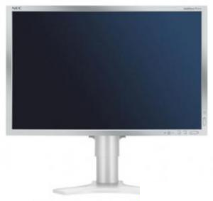 NEC MultiSync LCD2190UXi